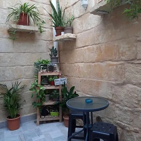 Bizzilla Lodging *